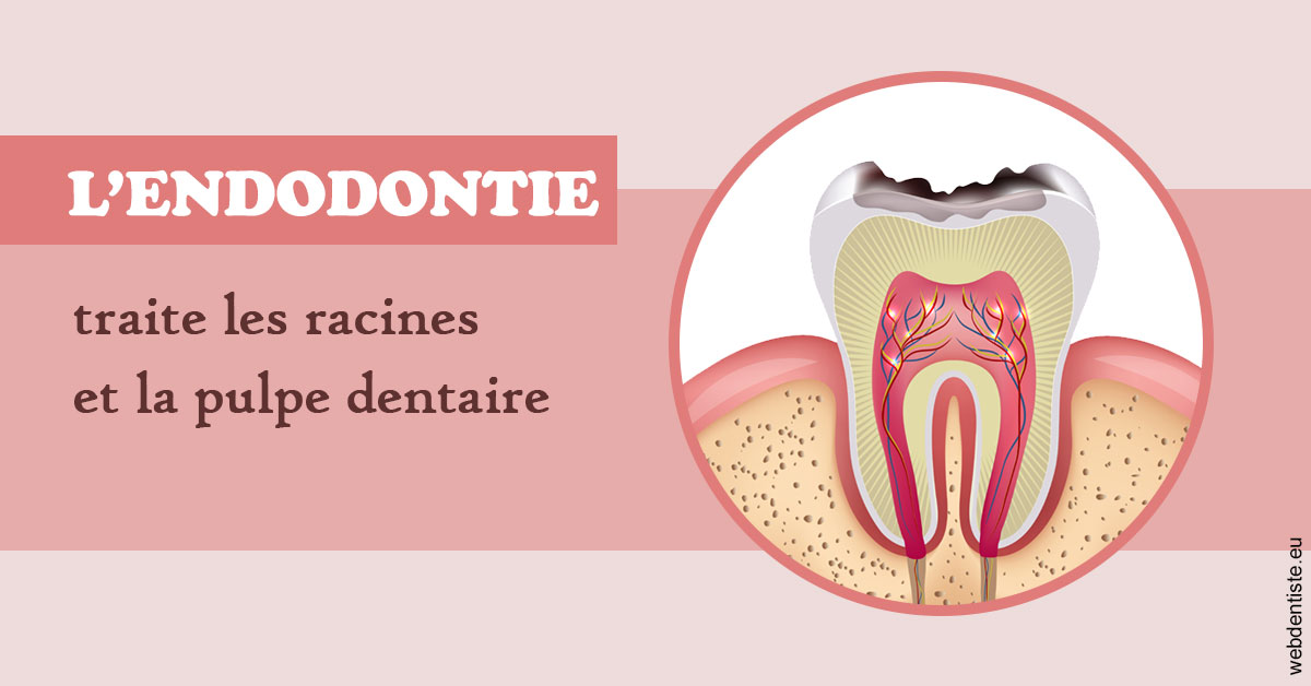 https://dr-yves-gozlan.chirurgiens-dentistes.fr/L'endodontie 2