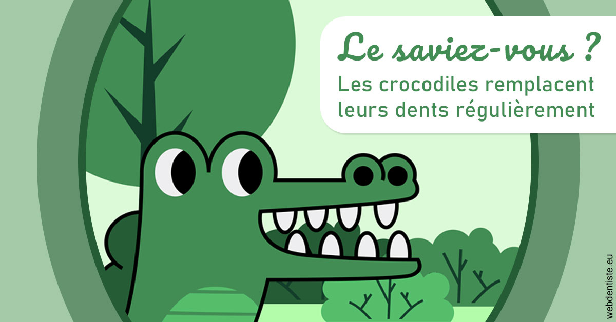 https://dr-yves-gozlan.chirurgiens-dentistes.fr/Crocodiles 2